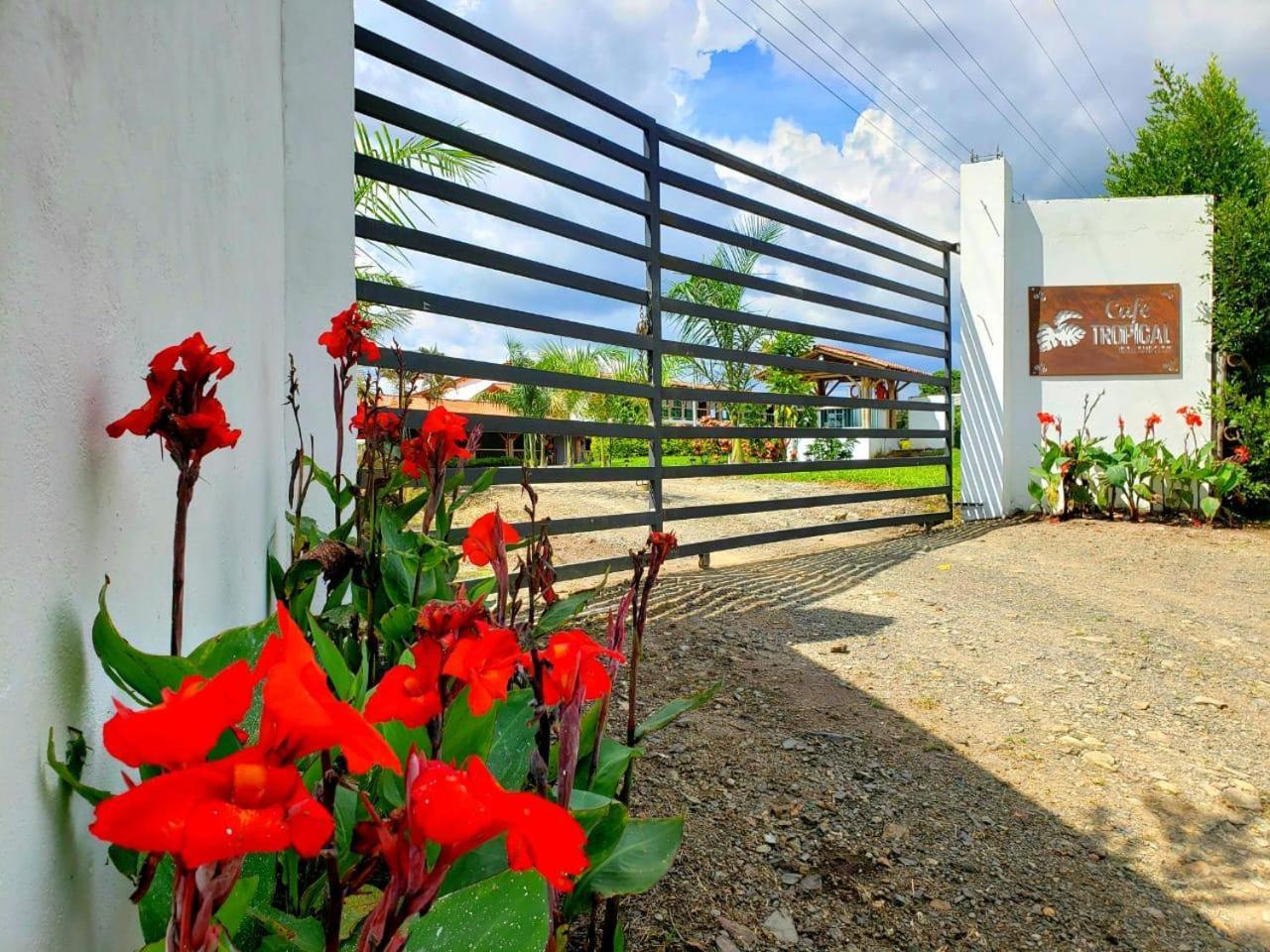 Hotel Campestre Cafe Tropical Quimbaya Zewnętrze zdjęcie